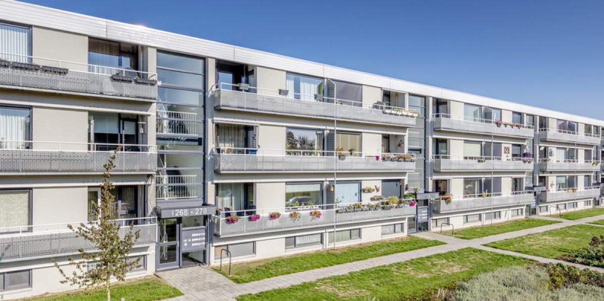 Renovatie 240 woningen Hatert